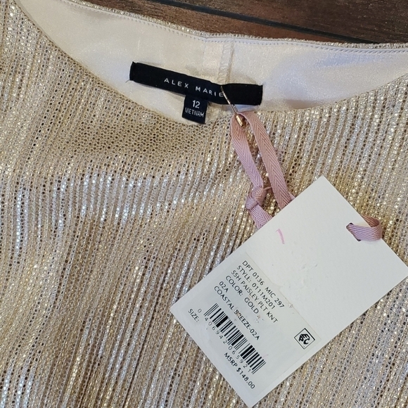 NWT Alex Marie Metallic flapper Gatsby plus size dress - Picture 3 of 10